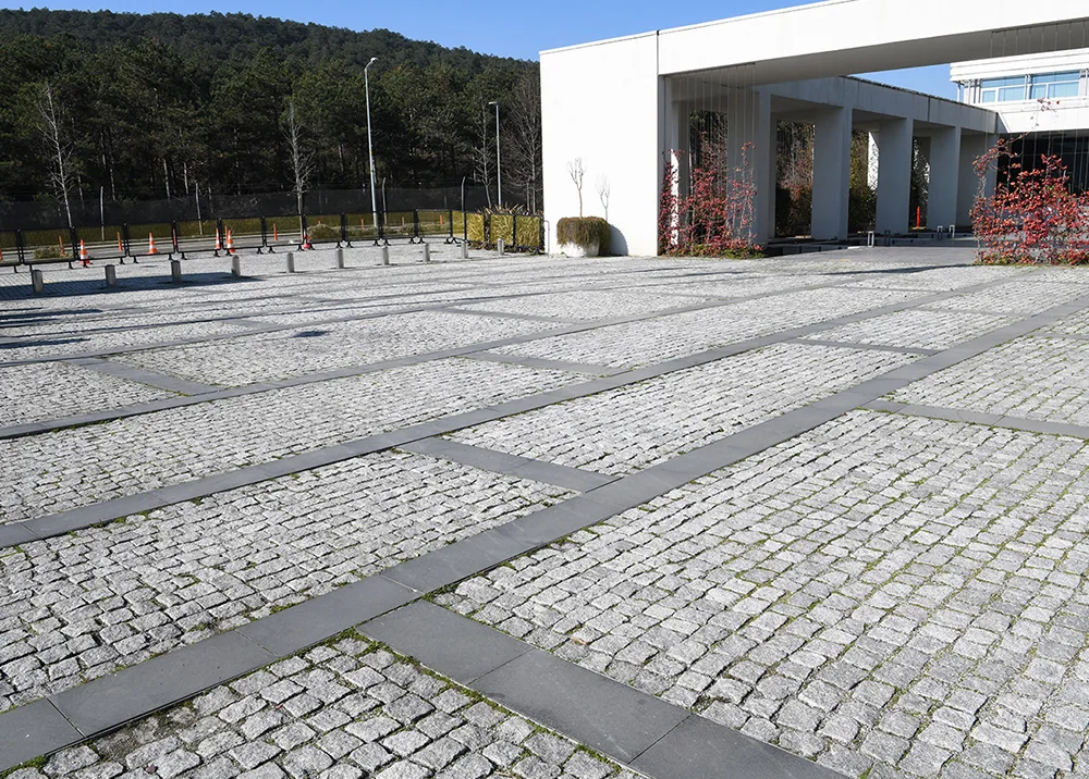 Özyeğin Üniversitesi
